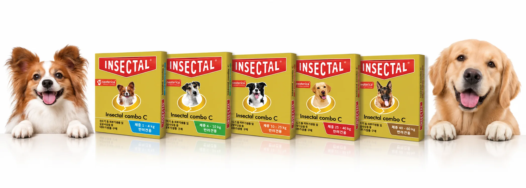 체중별 인섹탈 콤보 제품 패키지 5종(1–4kg, 4–10kg, 10–25kg, 25–40kg, 40–60kg)과 양옆의 반려견
